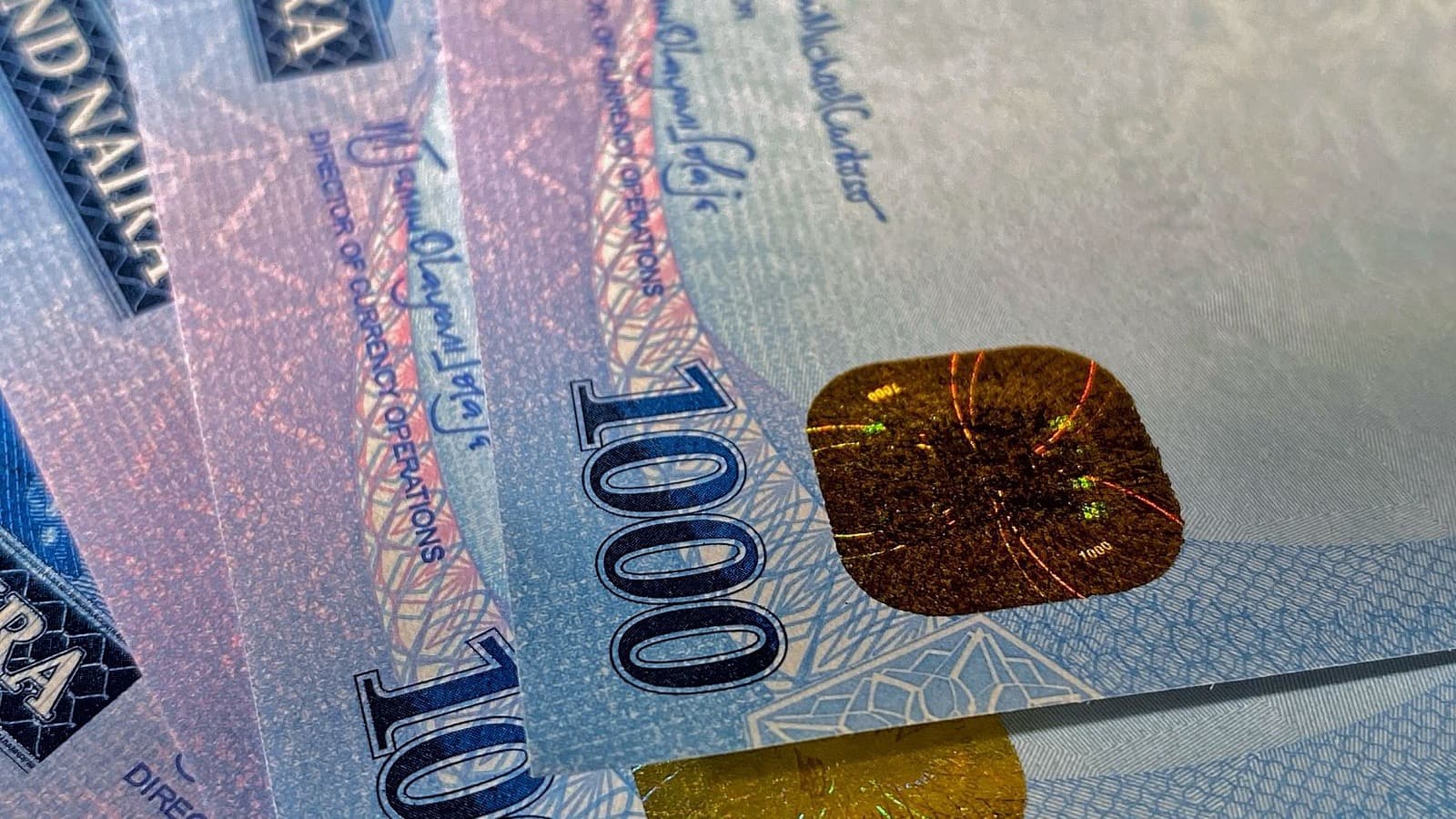 Nigerian naira banknotes
